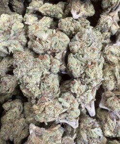 Gelato 33 "Greenhouse Mids"