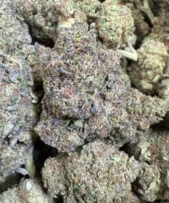 Rainbow Road "Premium Greenhouse"