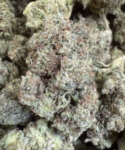 Zerb Bomb "Premium Greenhouse"