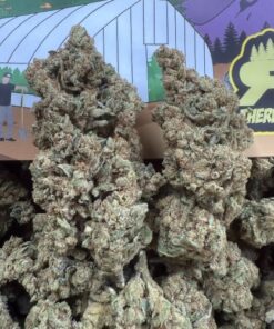 Acai Mints "Organic Living Soil Greenhouse by The Real Ridge Boys"