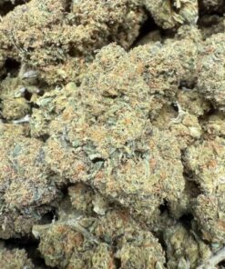 Gelato 45 "Mid/Budget Shelf Greenhouse"