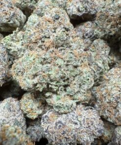 Gumbo "Top Shelf Organic Indoor"