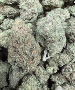 Lemon Barz "Premium Greenhouse"
