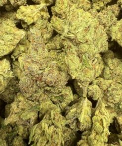 Slapz "Premium Greenhouse"
