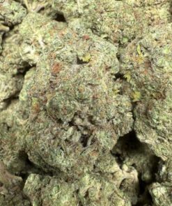 White Widow Runtz "Premium Greenhouse"