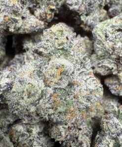 Blue Jelly Bean "Exotic Top Shelf Indoor"