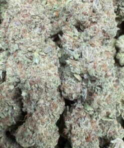 Garlic Juice "Organic Greenhouse By The Real Ridge Boys"