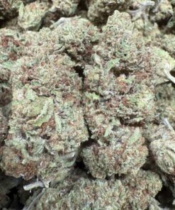 Blue Beer'z "Organic Greenhouse By The Real Ridge Boys"