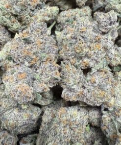 Rainbow Cherry Beltz "Exotic Top Shelf Indoor"