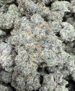 LA Toxica "Exotic Top Shelf Indoor"