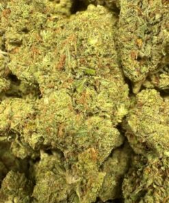 OG Diesel "Premium Greenhouse"