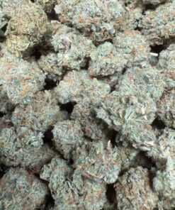 Skittles "Premium Indoor Smalls"