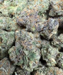 818 Gelato "Premium Indoor Smalls"