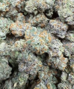 Sherbet Banger "Premium Indoor Smalls"