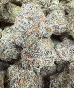 Lemon Cherry Gelato #44 "Premium Indoor Flower"