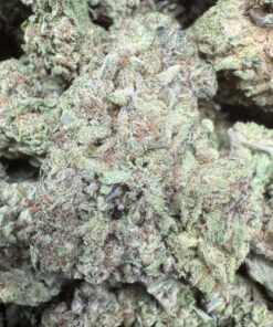 Cherry Biscotti "Premium Greenhouse"