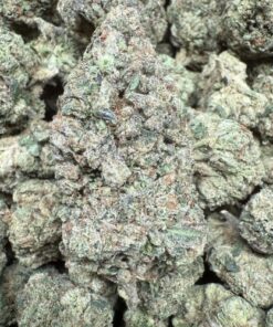 Gary Payton "Premium Greenhouse"