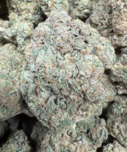 Candy Runtz "Premium Greenhouse"