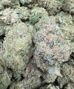 Z-Bomb "Mid Grade Indoor Good Ticket"