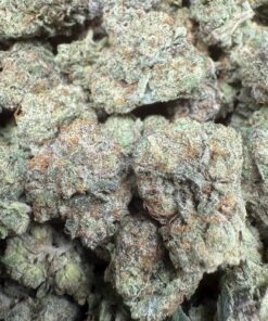 Candy Runtz "Indoor Smalls Good Ticket"