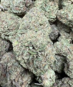 Biscotti "Premium Greenhouse"