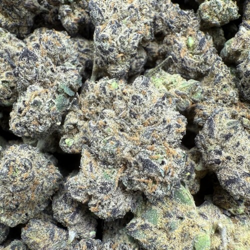 Black Diamond "C Grade Indoor Flower" Slightly Seeded