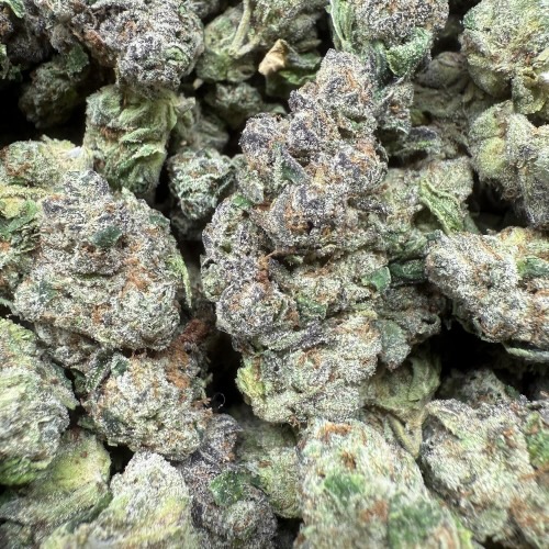 Rainbow Runtz "B Grade Indoor Flower Smalls"