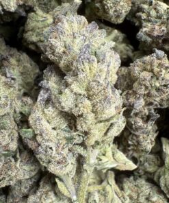 White Runtz "Top Shelf Greenhouse"