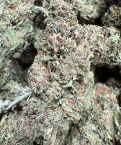 Animal Snacks "Premium Greenhouse"