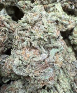 Gruntz "Premium Greenhouse"