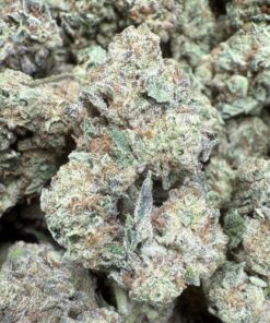 Lavish Breath "Premium Greenhouse"