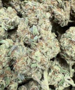 Obama Runtz "Premium Greenhouse"