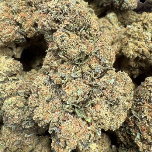 Budget Flower "8 Strains Available 1oz Only" Old Flower