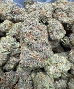 Rainbow Zherbet "B+ Grade" Indoor Flower