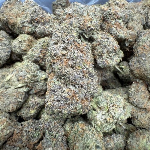 Rainbow Zherbet "B+ Grade" Indoor Flower