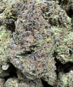 Strawberry Banana Runtz "A Grade" Greenhouse Flower