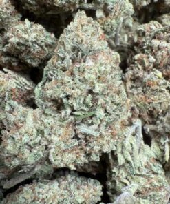 ICE "A Grade" Greenhouse Flower