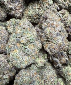 Rainbow Road #2 "A+ Grade" Indoor Flower