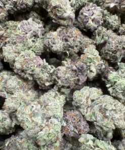 Lobster Butter "A Grade" Indoor Flower SMALLS