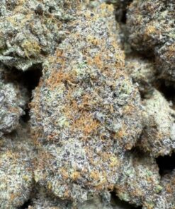 Blue Runtz "B Grade" Indoor Flower