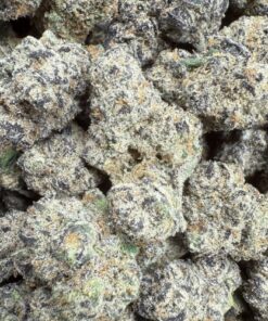 Runtz "D Grade" BUDGET Old Indoor Flower "1oz Increments Only"