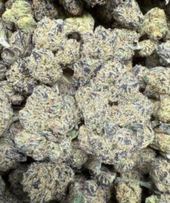 Black Truffle "C Grade" Indoor Flower Smalls