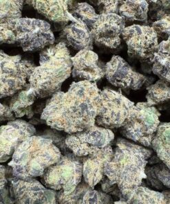 Gelato 41 "D Grade" BUDGET Old Indoor Flower Smalls "1oz Increments Only"