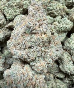 Xeno "B Grade" Indoor Flower