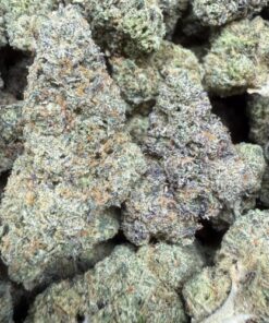 Thin Mint Cookies "B Grade" Indoor Flower