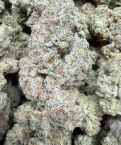 OG Zebra "A+ Grade" Indoor Flower by Preferred Gardens