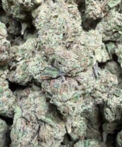 Zkittlez "B Grade" Greenhouse Flower