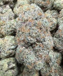 Lance "B Grade" indoor Flower