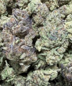 Papaya "A Grade" Greenhouse Flower