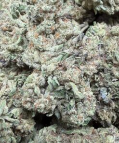 Gelato Fuel "B Grade" Greenhouse Flower